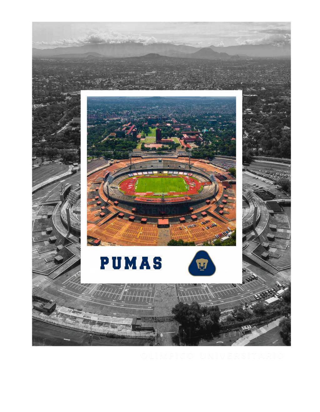 Estadio Pumas